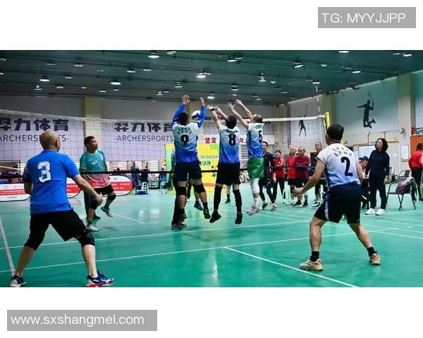 与杨丽畅谈排球生涯中的挑战与成就的精彩瞬间