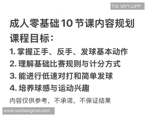 从零到高手:全面解析网球技巧与训练方法的终极指南 从零到高手:全面解析网球技巧与训练方法的终极指南