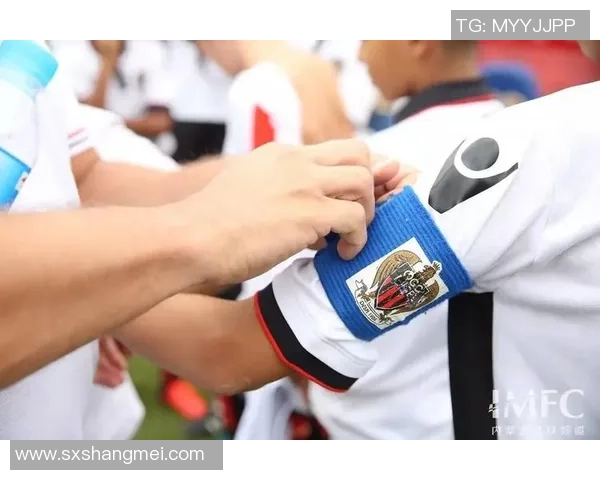 提升足球技能的中文教学视频全攻略助你成为场上明星