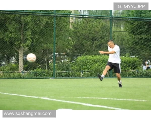 杭州篮球队的拼搏之路:从挑战赛到荣耀的奋斗历程