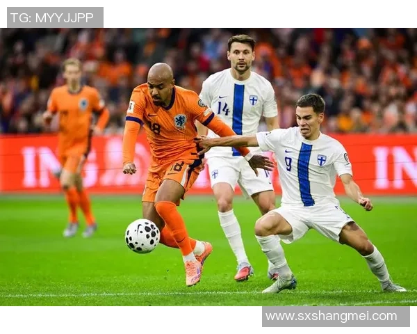 维萨拉足球:探索芬兰足球的崛起与未来发展之路