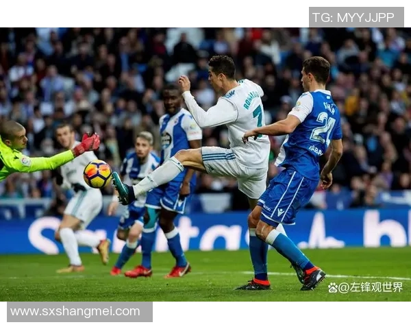 畅谈足球世界的精彩瞬间与球员背后的故事 畅谈足球世界的精彩瞬间与球员背后的故事