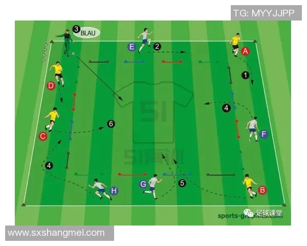 足球脚分布分析及其对比赛策略和球员表现的影响探讨