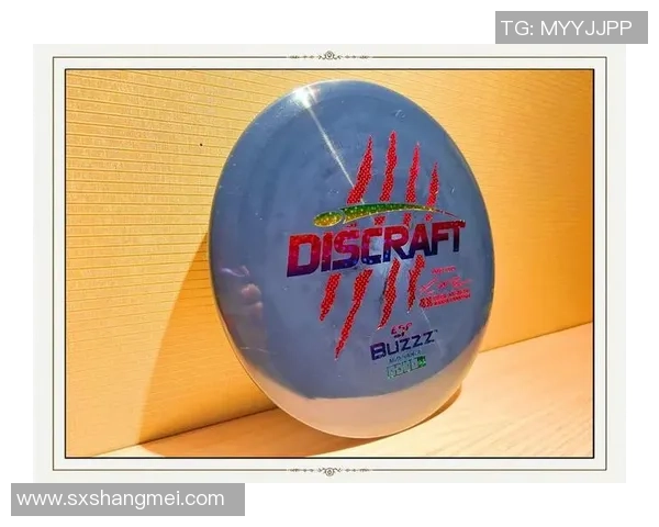 重庆飞盘队的耐力挑战与提升策略探索之旅