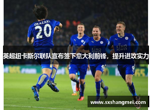 英超纽卡斯尔联队宣布签下意大利前锋，提升进攻实力