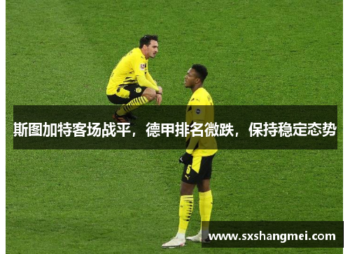 斯图加特客场战平，德甲排名微跌，保持稳定态势