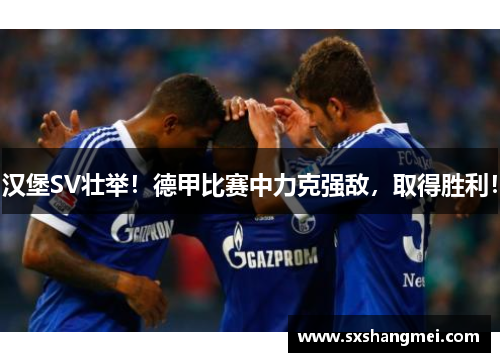 汉堡SV壮举！德甲比赛中力克强敌，取得胜利！