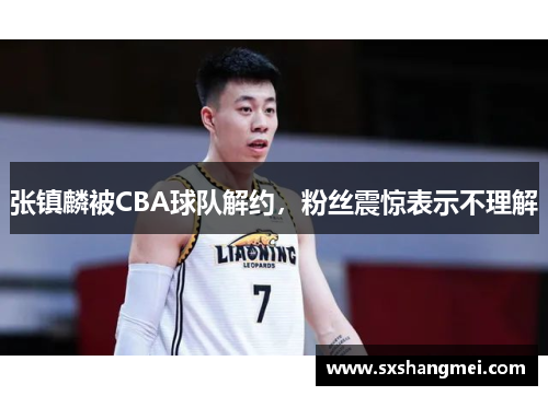 张镇麟被CBA球队解约，粉丝震惊表示不理解