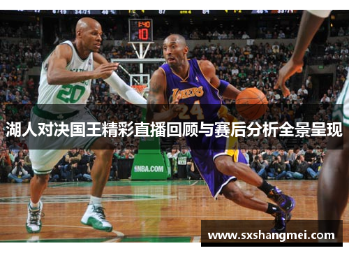湖人对决国王精彩直播回顾与赛后分析全景呈现