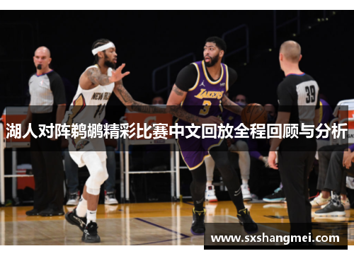 湖人对阵鹈鹕精彩比赛中文回放全程回顾与分析
