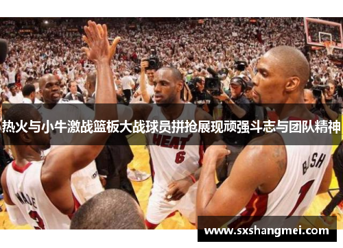 热火与小牛激战篮板大战球员拼抢展现顽强斗志与团队精神