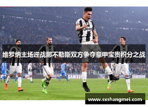 维罗纳主场迎战那不勒斯双方争夺意甲宝贵积分之战