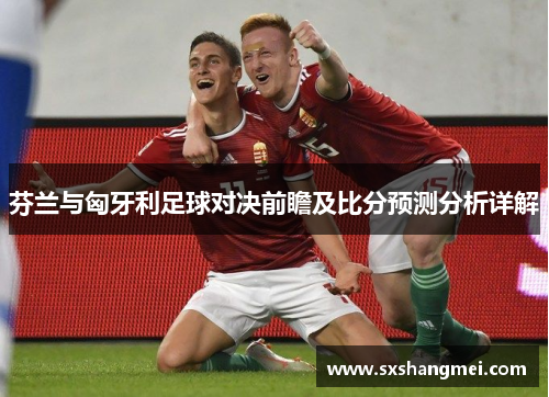 芬兰与匈牙利足球对决前瞻及比分预测分析详解