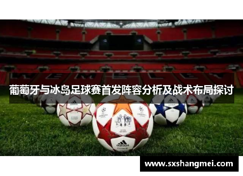 葡萄牙与冰岛足球赛首发阵容分析及战术布局探讨