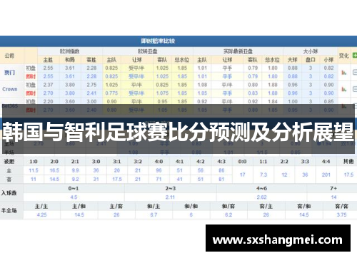 韩国与智利足球赛比分预测及分析展望