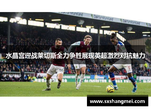 水晶宫迎战莱切斯全力争胜展现英超激烈对抗魅力