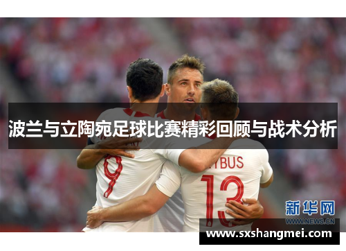 波兰与立陶宛足球比赛精彩回顾与战术分析