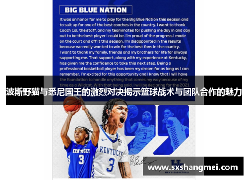 波斯野猫与悉尼国王的激烈对决揭示篮球战术与团队合作的魅力