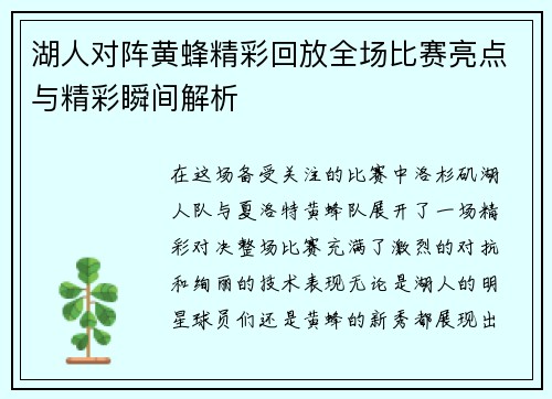 湖人对阵黄蜂精彩回放全场比赛亮点与精彩瞬间解析