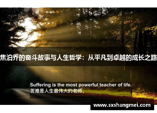 焦泊乔的奋斗故事与人生哲学：从平凡到卓越的成长之路