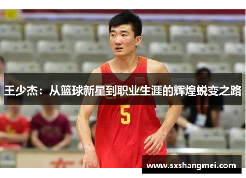 王少杰：从篮球新星到职业生涯的辉煌蜕变之路