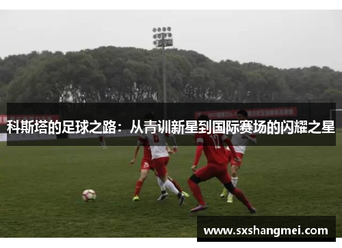 科斯塔的足球之路：从青训新星到国际赛场的闪耀之星