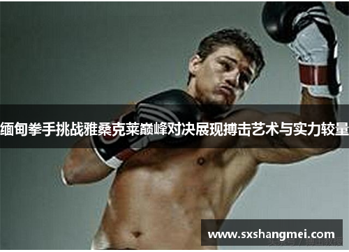 缅甸拳手挑战雅桑克莱巅峰对决展现搏击艺术与实力较量